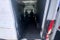 2024 Ford Transit Cargo Van 148 WB Medium Roof Cargo
