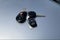 2010 Toyota Tundra 4WD Truck LTD