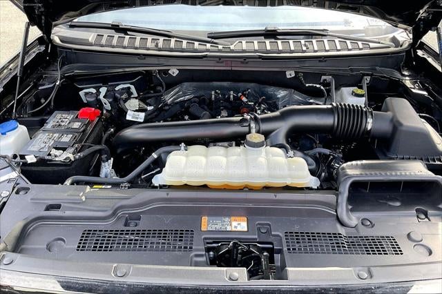 2025 Ford Expedition Active MAX