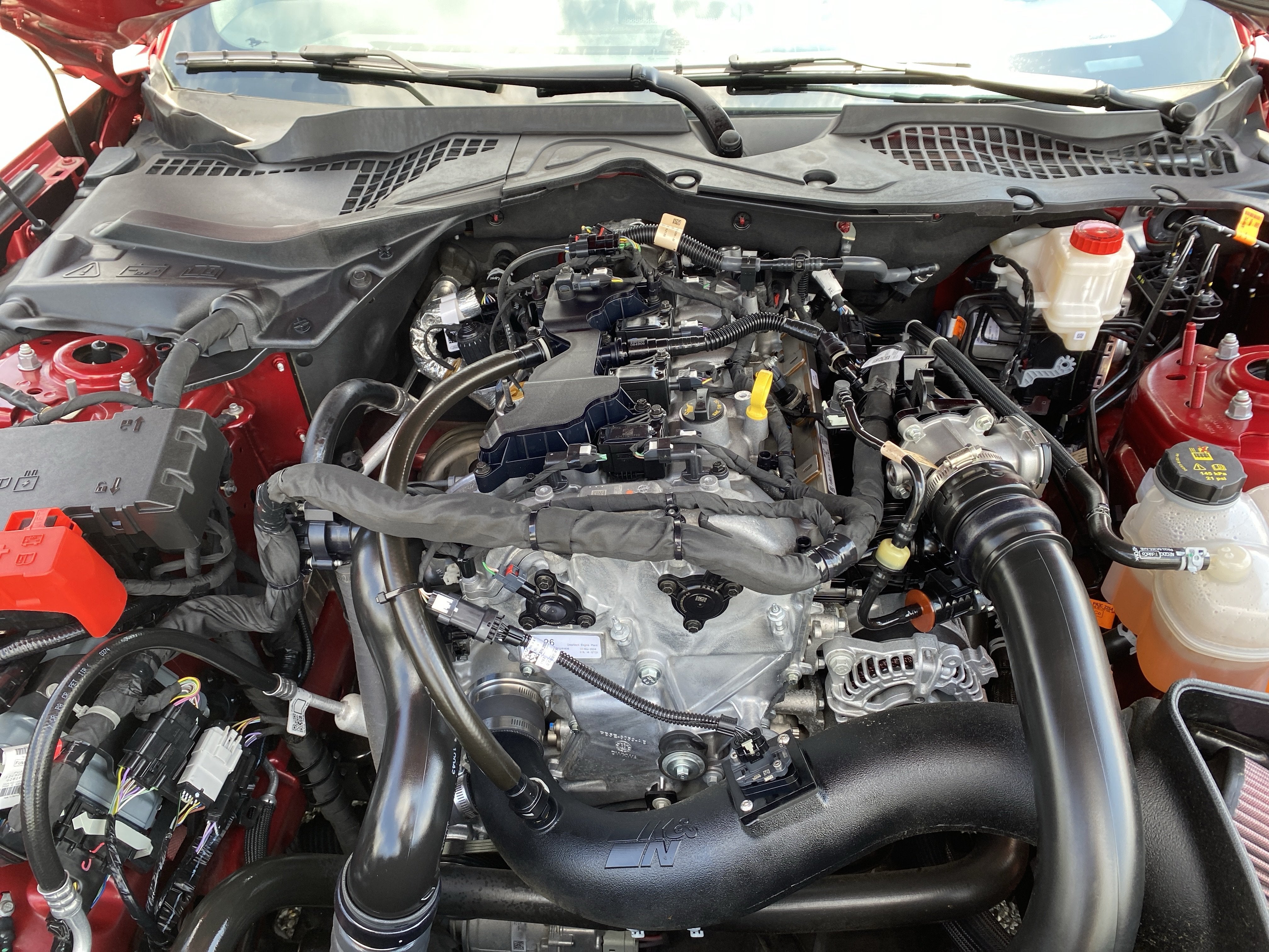 2024 Ford Mustang EcoBoost Premium