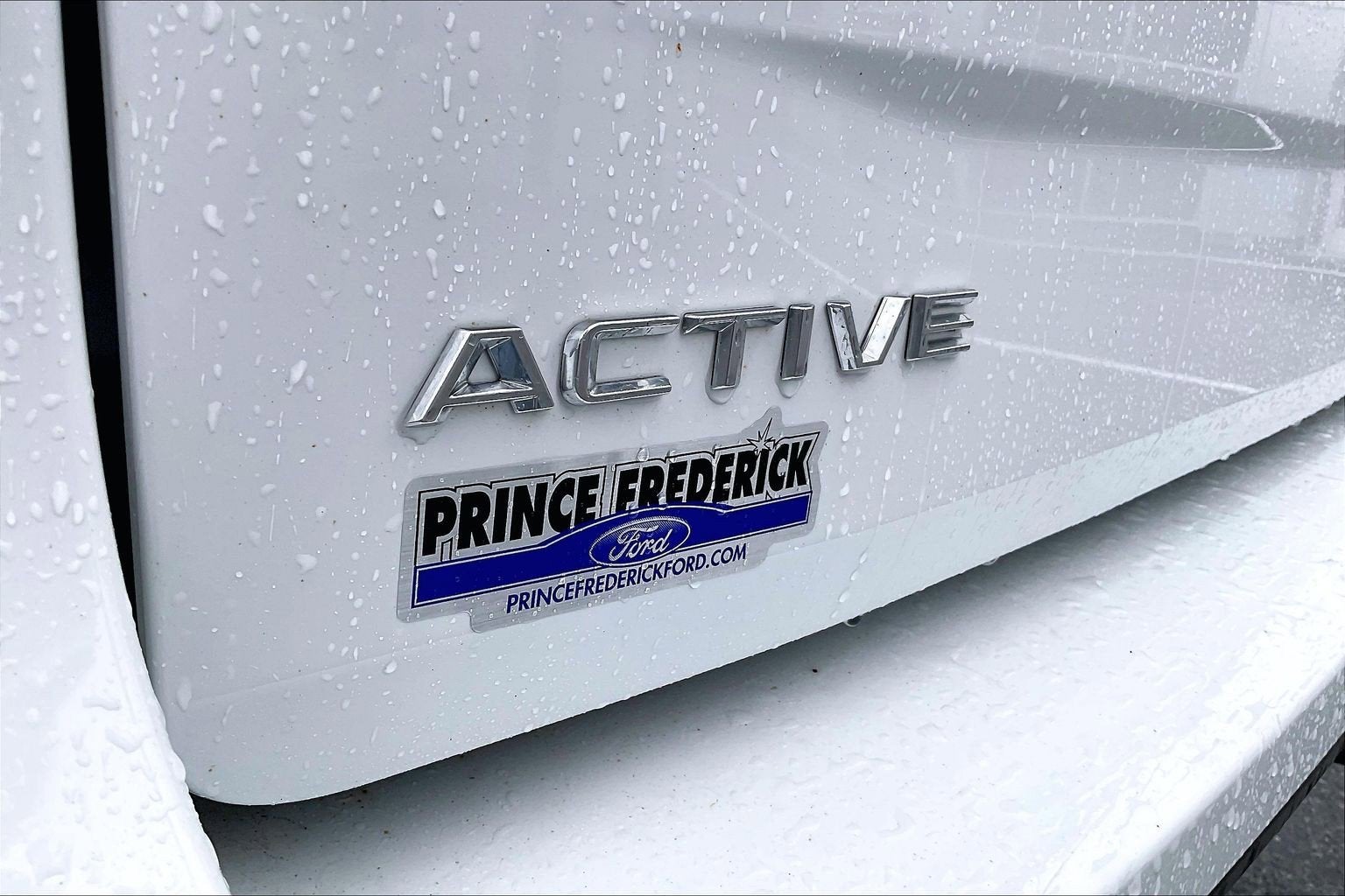2025 Ford Expedition Active