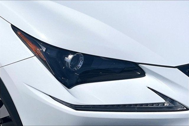 2020 Lexus NX NX 300 F SPORT