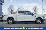2023 Ford F-150 4WD