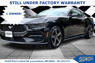 2025 Ford Mustang EcoBoost