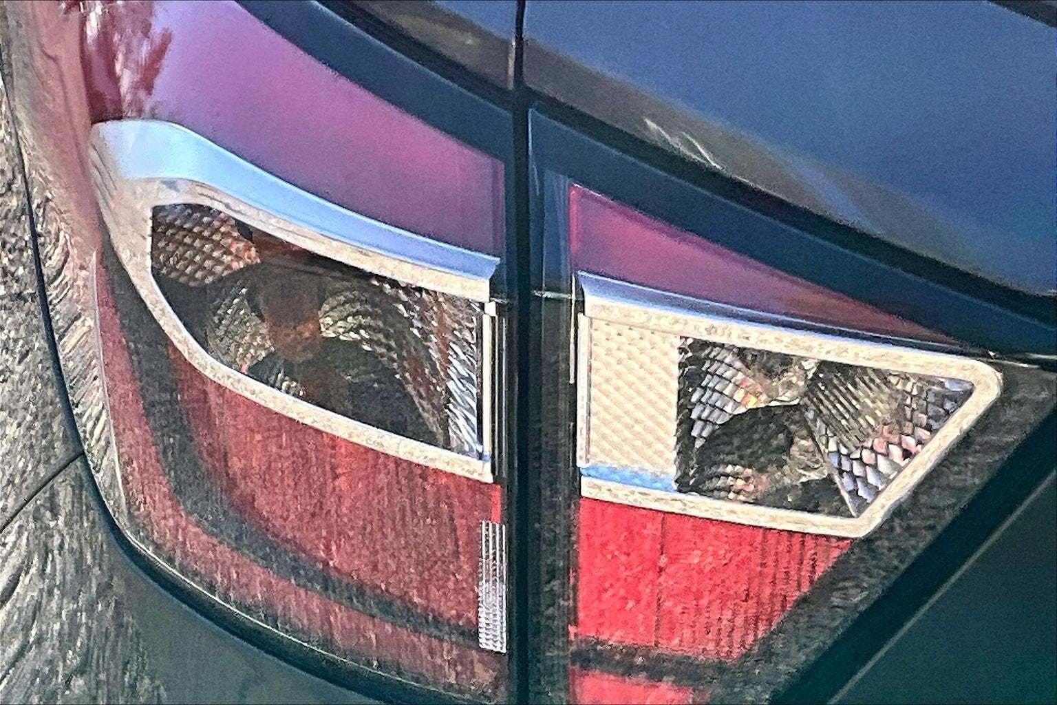 2017 Ford Escape SE 4WD