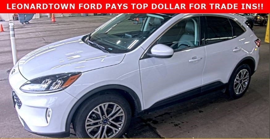 2022 Ford Escape SEL