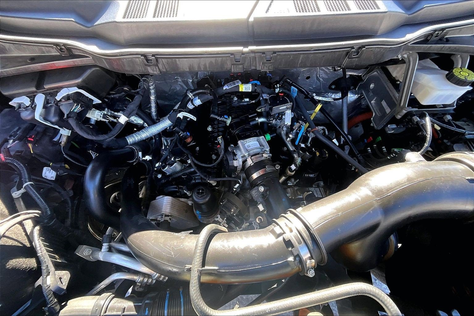 2023 Ford F-150 XLT FX4 SPORT